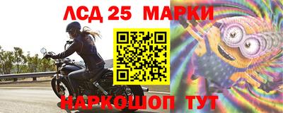 a pvp Краснознаменск